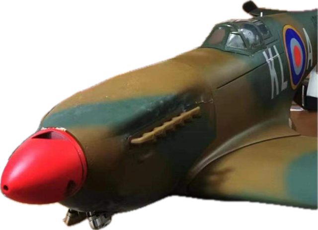ZWX 81