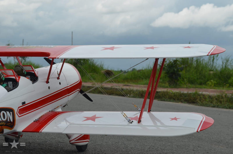 back view of red baron rc plane