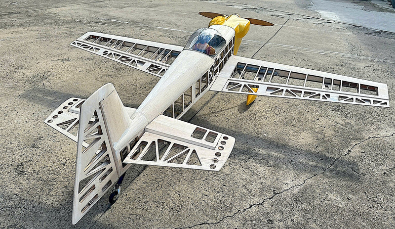 Giant Scale 1/3 Cap 232 PAINTBALL ARF SEA416P | 97