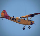 L-19 Bird Dog YELLOW/RED 13 Ft Wingspan | 156" Wingspan | Legend Hobby
