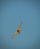 L-19 Bird Dog YELLOW/RED 13 Ft Wingspan | 156" Wingspan | Legend Hobby