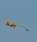 L-19 Bird Dog YELLOW/RED 13 Ft Wingspan | 156" Wingspan | Legend Hobby