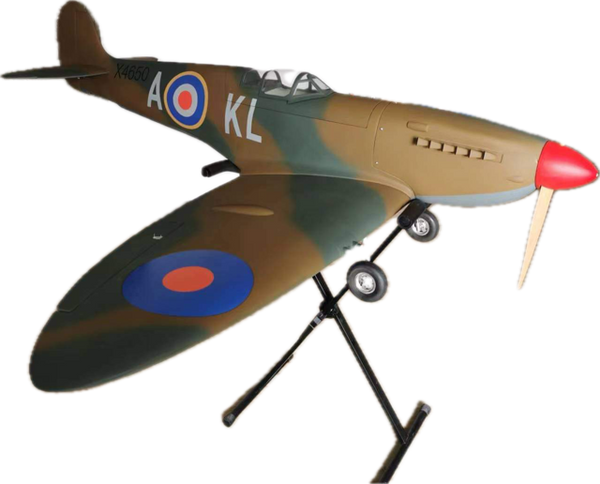 ZWX 81