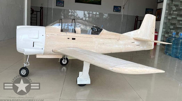 Bestselling Planes and Accessories | RC Kits from Legend Hobby