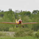 SEAGULL MODELS BOWERS FLYBABY 69" (10cc-15cc) - SEA238