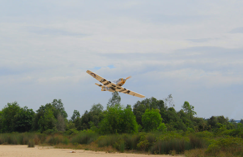 71" P-51D Charlotte's Chariot II26cc-35cc | Seagull Models