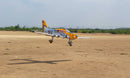 87" Piper Cherokee PA-29 WARRIOR II TRIBUTE SCHEME 35cc-40cc | Legend Hobby