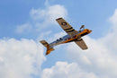 87" Piper Cherokee PA-29 WARRIOR II TRIBUTE SCHEME 35cc-40cc | Legend Hobby