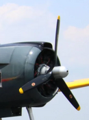 Spinner Hub for 1/6 T-28 Trojan 82.5" Scale | Legend Hobby