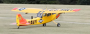 L-19 Bird Dog YELLOW/RED 13 Ft Wingspan | 156" Wingspan | Legend Hobby