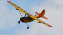 L-19 Bird Dog YELLOW/RED 13 Ft Wingspan | 156" Wingspan | Legend Hobby