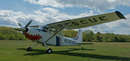 L-19 Super Dog II (OE-2) ARC UNCOVERED 13 Ft Wingspan | 156" Wingspan | Legend Hobby