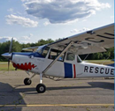 L-19 Super Dog II (OE-2) ARC UNCOVERED 13 Ft Wingspan | 156" Wingspan | Legend Hobby