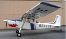 L-19 Super Dog II (OE-2) ARC UNCOVERED 13 Ft Wingspan | 156" Wingspan | Legend Hobby