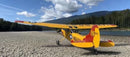 L-19 Bird Dog YELLOW/RED 13 Ft Wingspan | 156" Wingspan | Legend Hobby