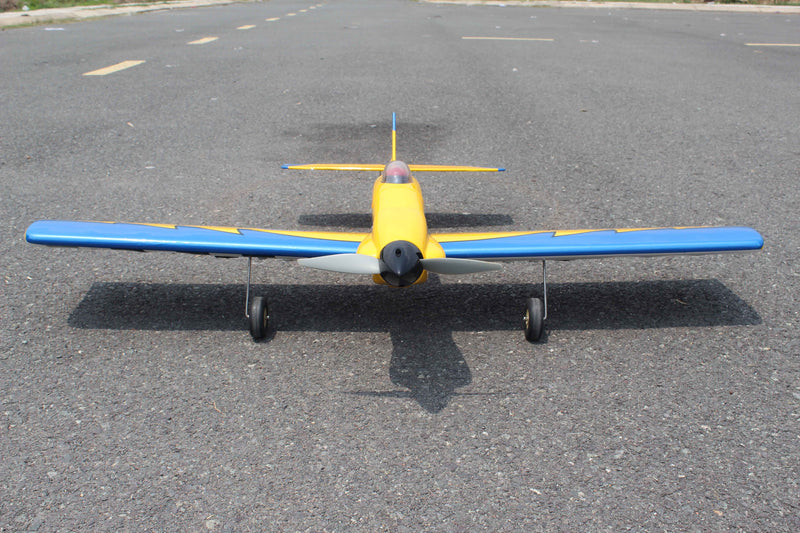 Magic Bird EF1 Racer PNP | Seagull Model