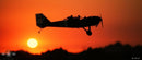side view of JUNKERS CL1 G-BUYU 15cc flying in front of a sunset
