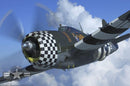 63" P-47G Thunderbolt Snafu 15cc | Seagull Models