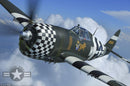 63" P-47G Thunderbolt Snafu 15cc | Seagull Models