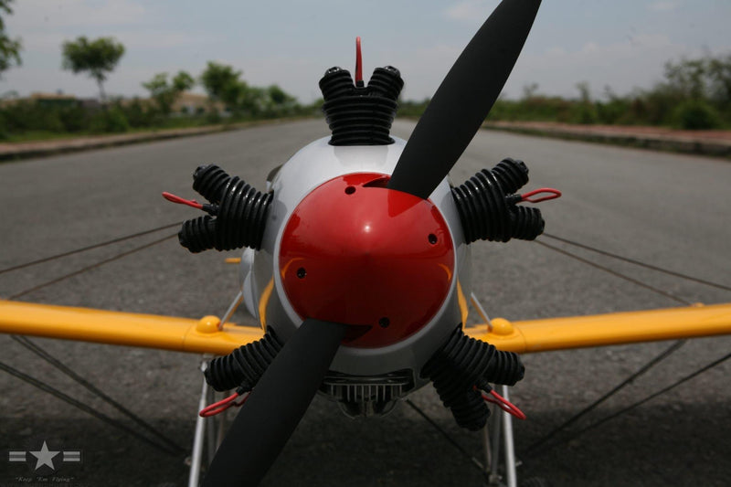 Ryan PT-22 Recruit 30-45cc | Seagull Models
