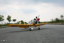 Ryan PT-22 Recruit 30-45cc | Seagull Models