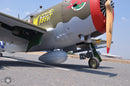P-47 B Wicked Wabbit | 81" | SEA306 from Seagull Models