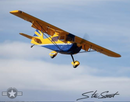 122" Champion Xtreme Decathlon V2 ARF 60-85cc Yellow/Blue SEA394Y | Seagull Models