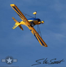 122" Champion Xtreme Decathlon V2 ARF 60-85cc Yellow/Blue SEA394Y | Seagull Models