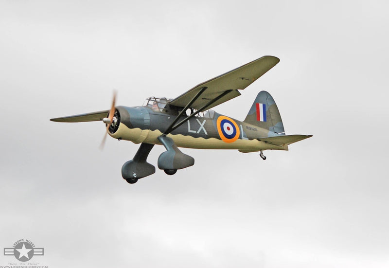 SEAGULL MODELS WESTLAND LYSANDER 118" MODEL 35-50cc SEA216