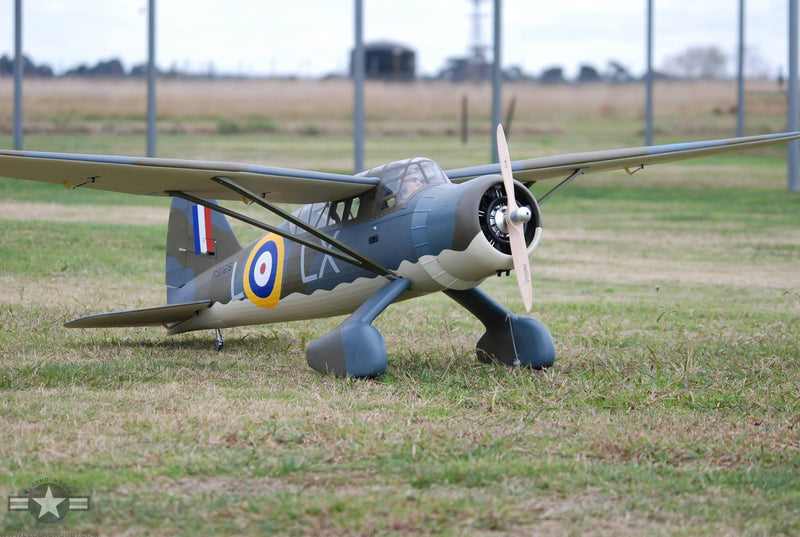 SEAGULL MODELS WESTLAND LYSANDER 118" MODEL 35-50cc SEA216