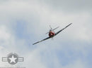 YAK-3U Steadfast | 63" 20cc
