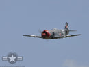 YAK-3U Steadfast | 63" 20cc